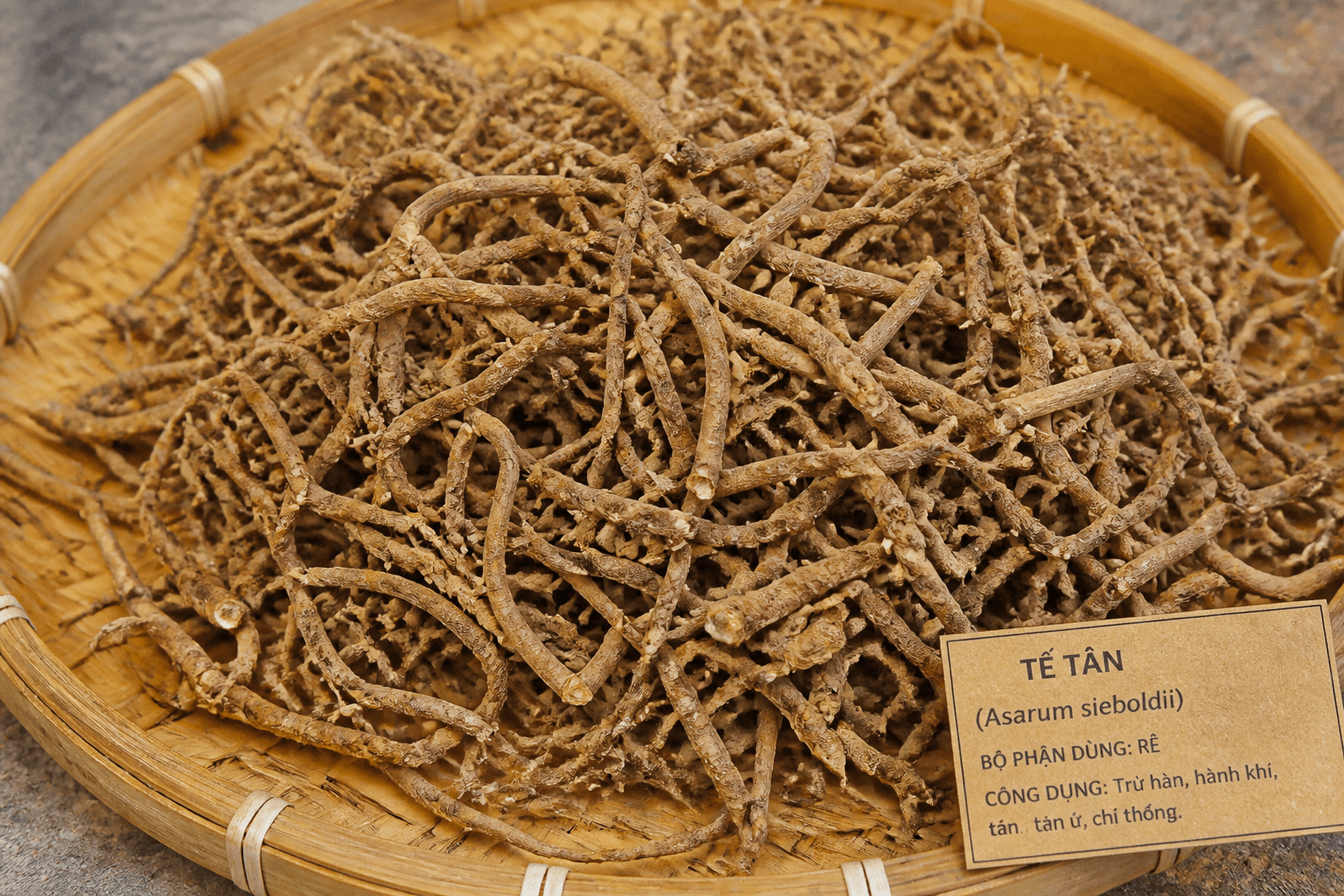 Tế tân